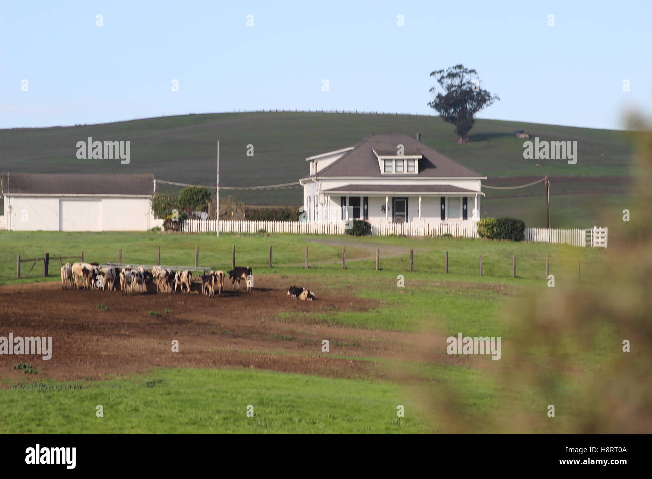 Ranch, Valley Ford, Sonoma County, California Stock Photo