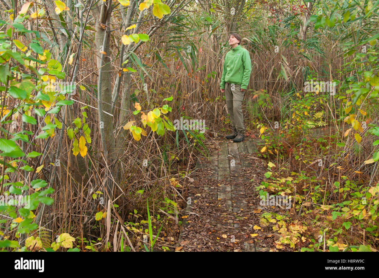 East Pond Trail, Jamaica Bay Wildlife Refuge, Gateway National Recreation Area, New York Stock Photo