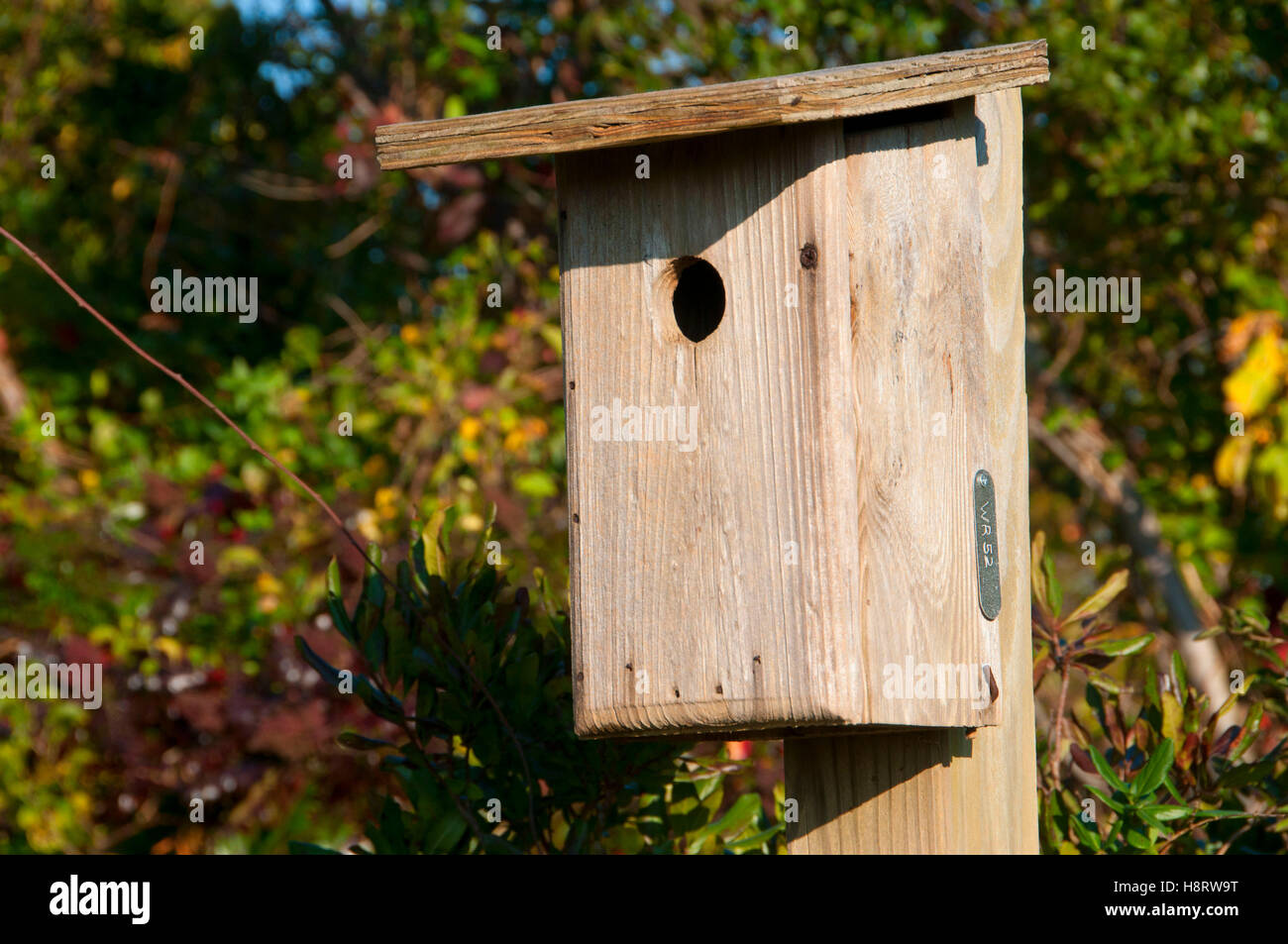 Bird box along West Pond Trail, Jamaica Bay Wildlife Refuge, Gateway National Recreation Area, New York Stock Photo