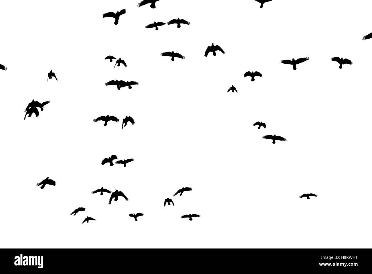 rooks in flight carved on a white background Stock Photo