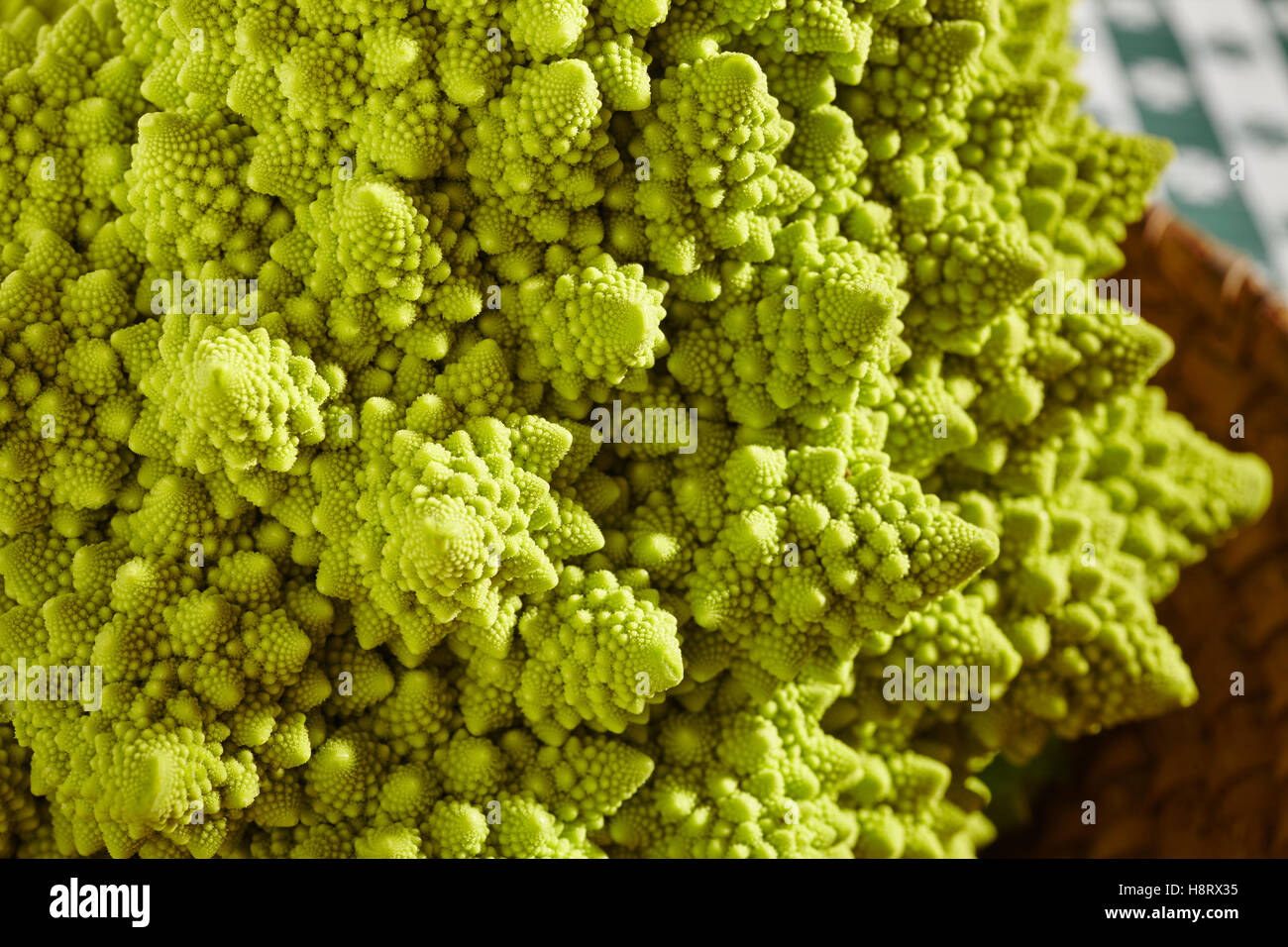 A whole raw romanesco broccoli Stock Photo