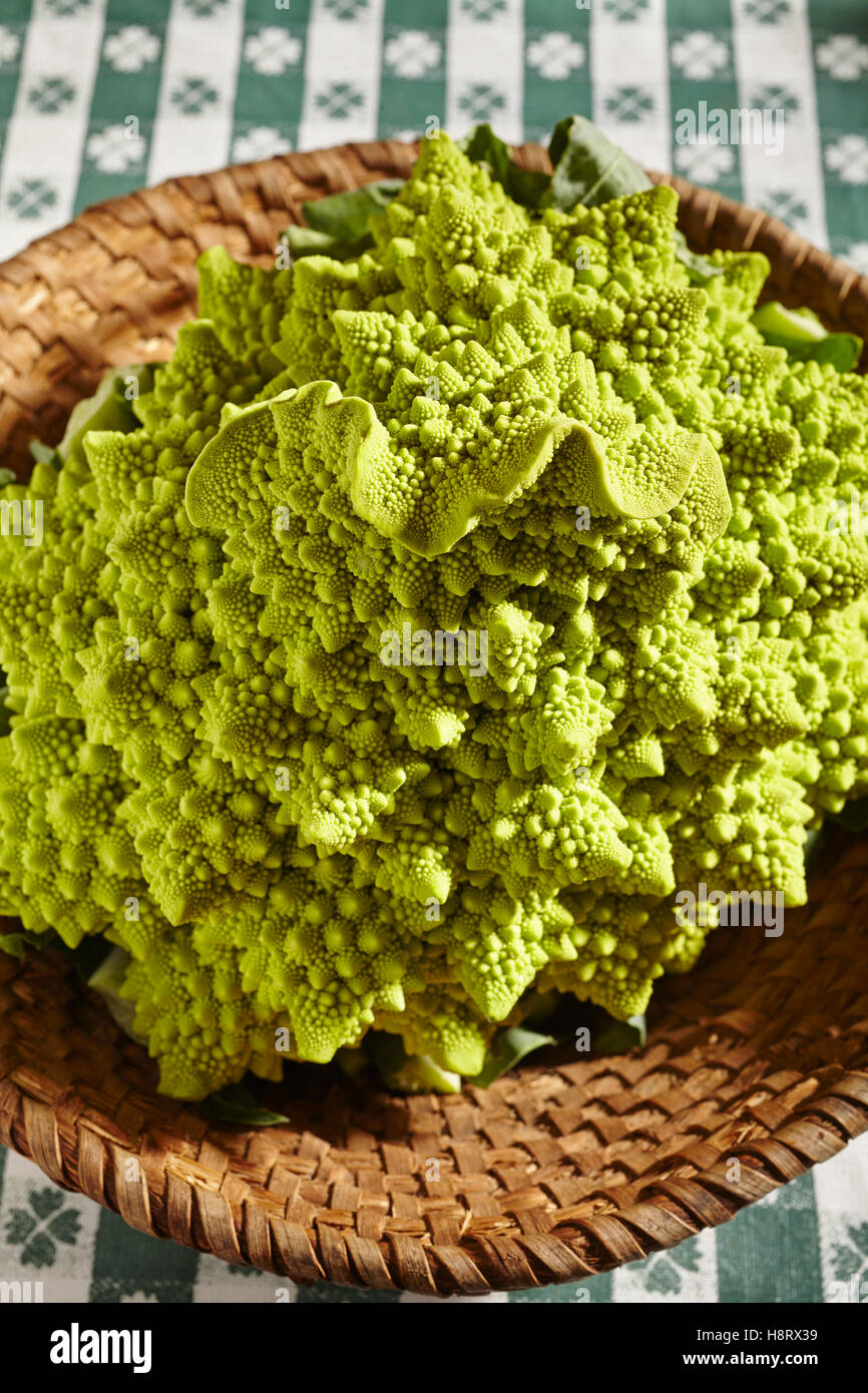 A whole raw romanesco broccoli Stock Photo