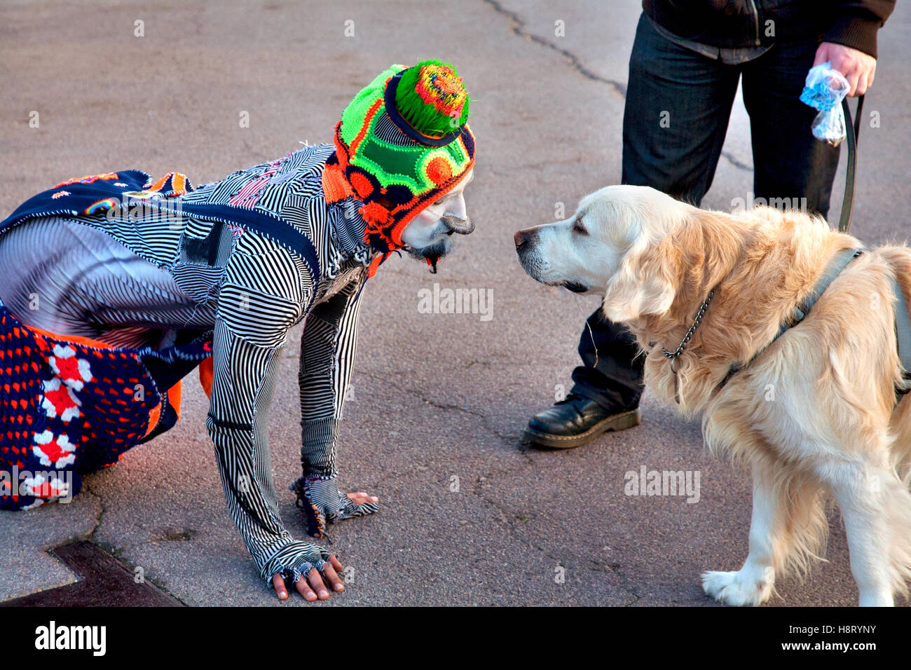Dog Clown High Resolution Stock Photography and Images - Alamy