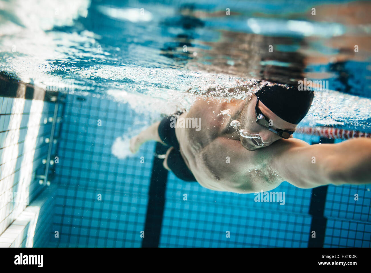 Fit swimmer training in the swimming pool. Professional male swimmer