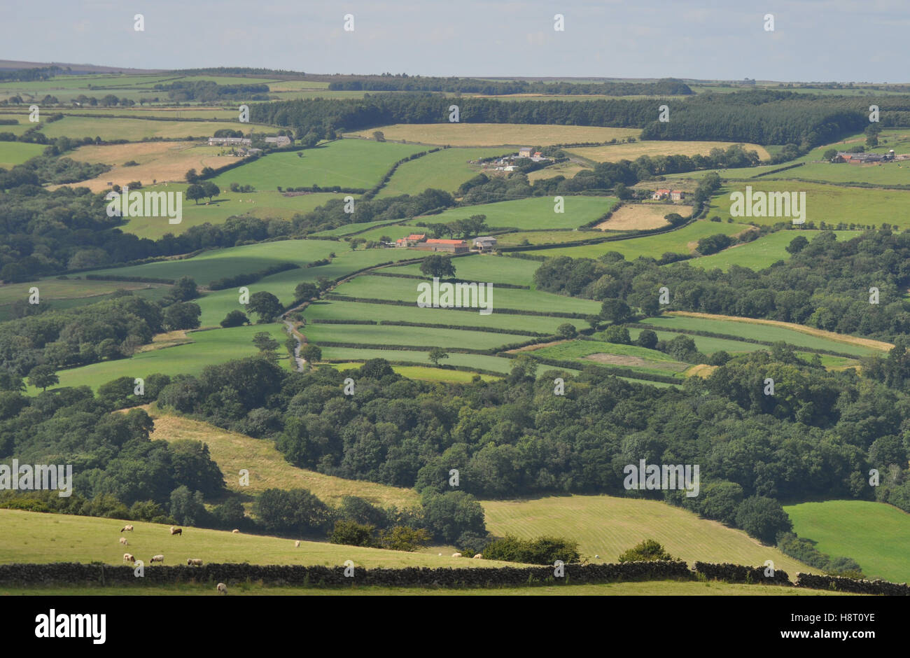 Farmland of North Yorkshire Stock Photo