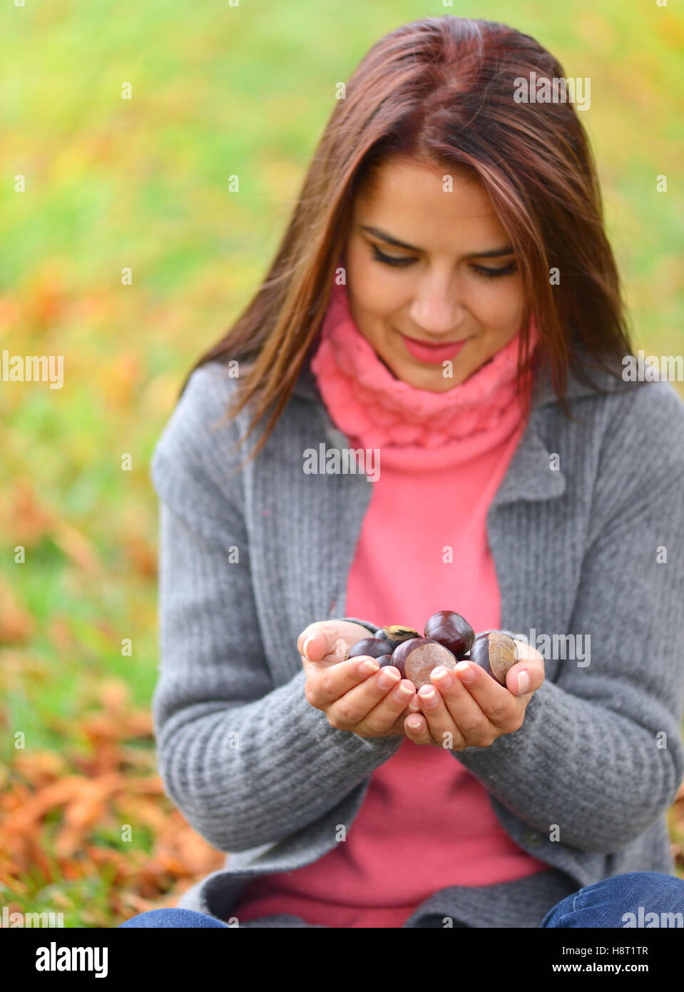 Girl holding many chestnuts in her hands Stock Photo