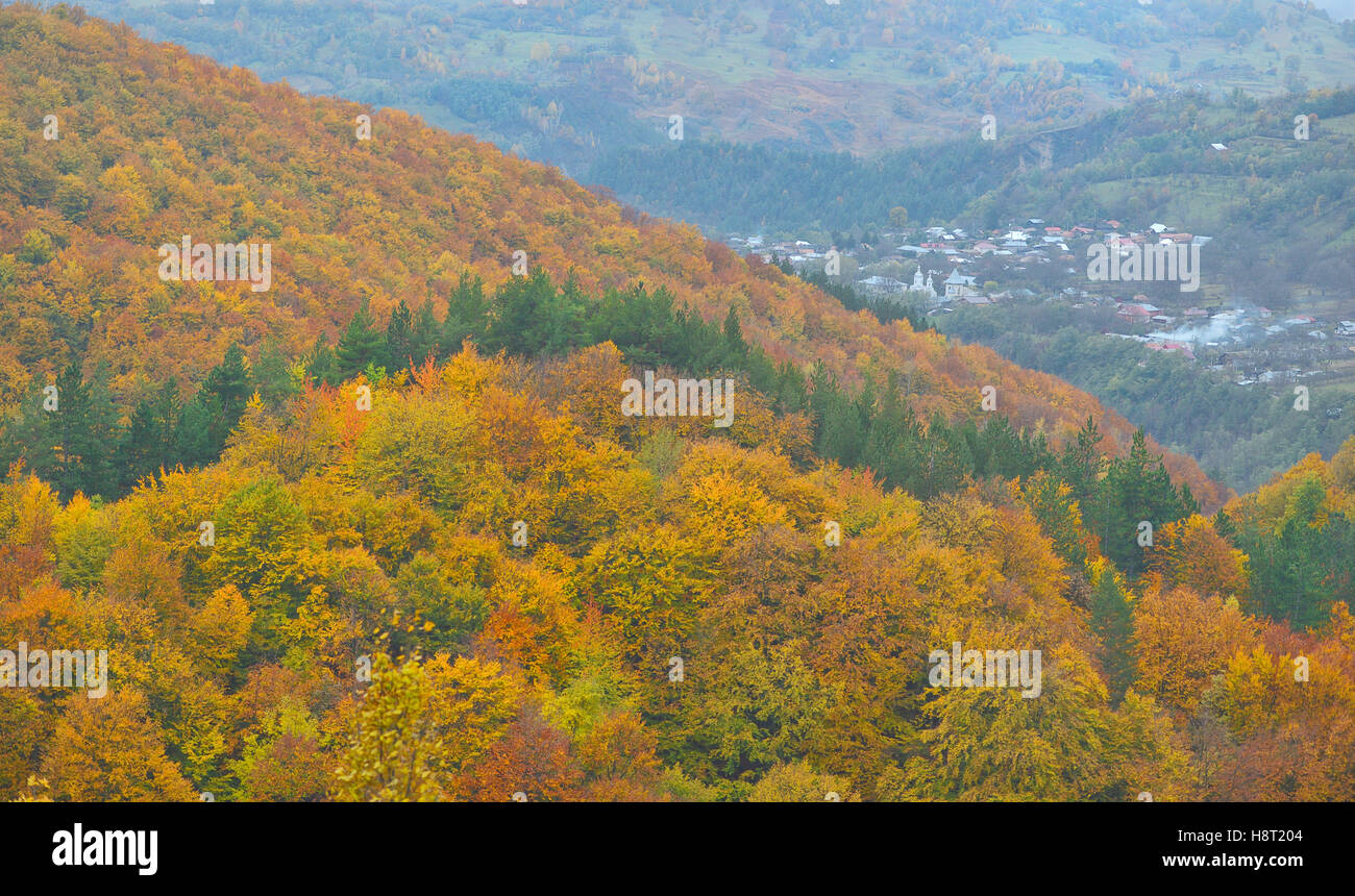 the mountain autumn landscape with colorful forest Stock Photo - Alamy