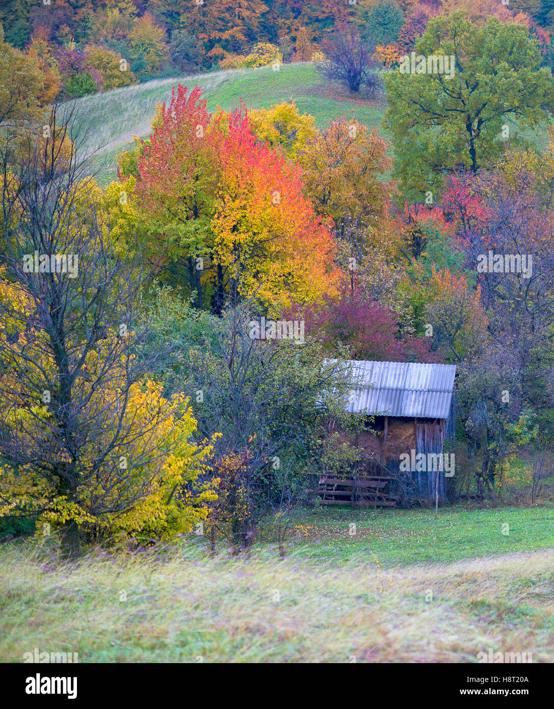 Autumn Landscape with a wooden house. Colorful forest on the slopes of ...
