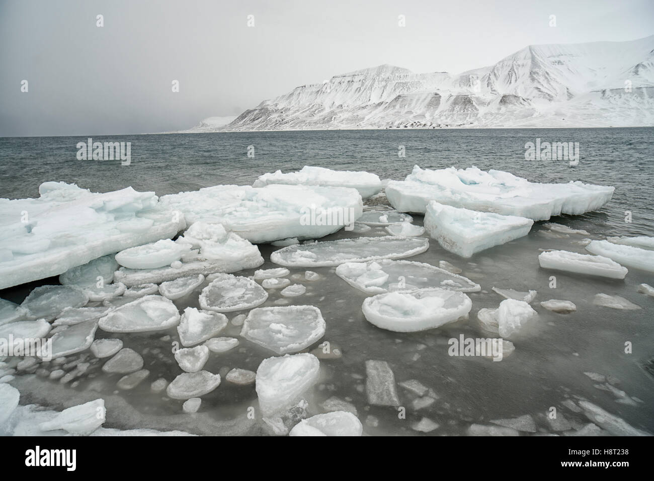 Sea ice forming on Adventfjorden Seeeis im Adventfjorden bei Longyearbyen, Svalbard, Spitsbergen Stock Photo