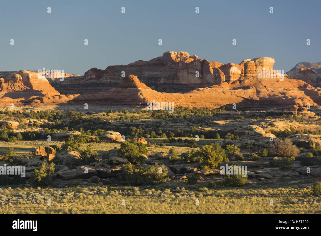 Utah, Canyonlands National Park, Needles District, Squaw Flat area landscape Stock Photo