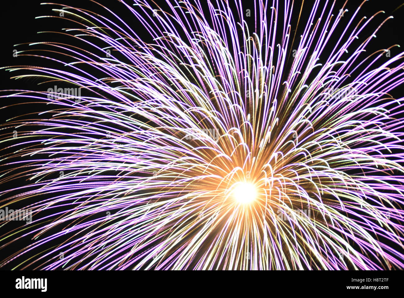 Fireworks: an explosion of colour Stock Photo