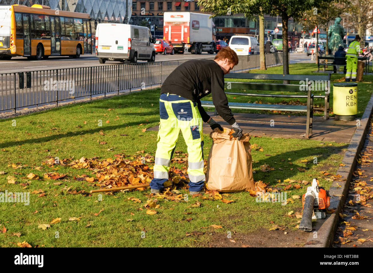 Man cleaning leaves during autumn in Copenhagen, Denmark Stock Photo
