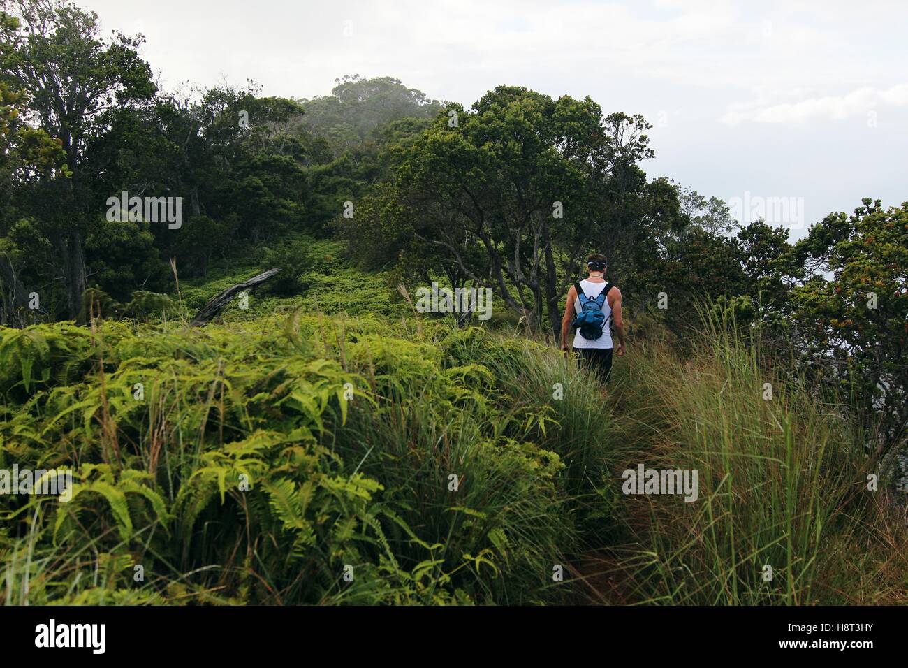 Jungle hike wet hi-res stock photography and images - Alamy
