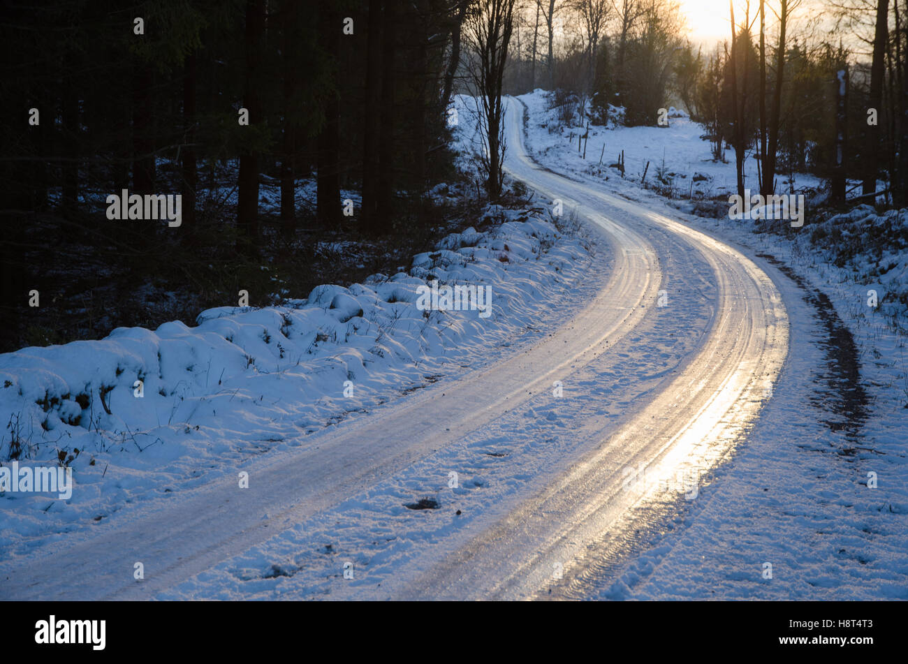 Road through icy forest hi-res stock photography and images - Alamy