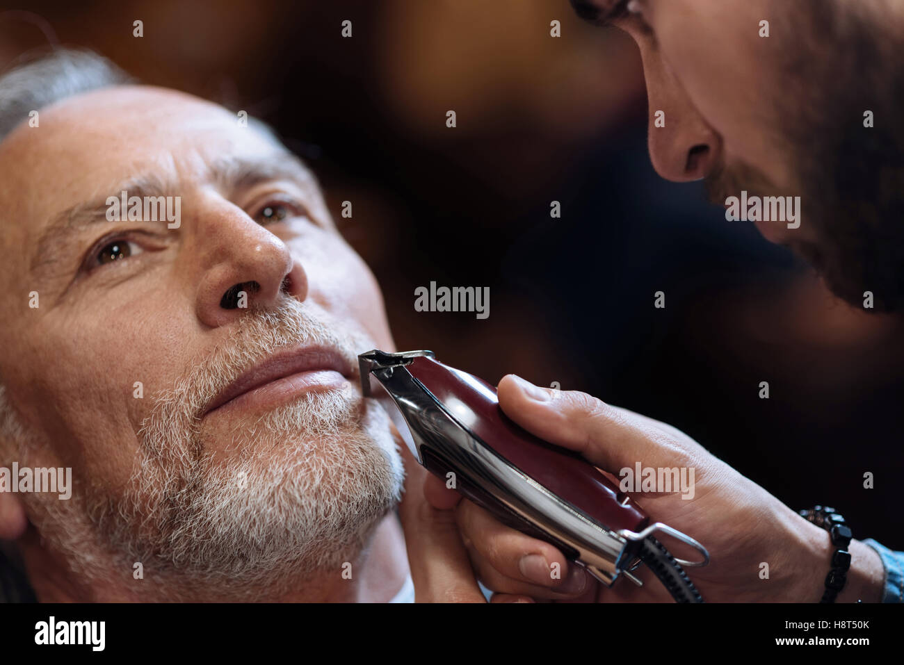 Old and shaved are Possible speak Old and shaved think
