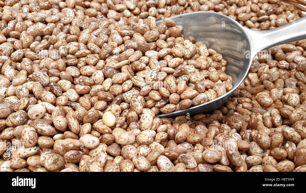 Heap of pinto beans and an aluminum transfer scoop for cereals on a market table. Stock Photo