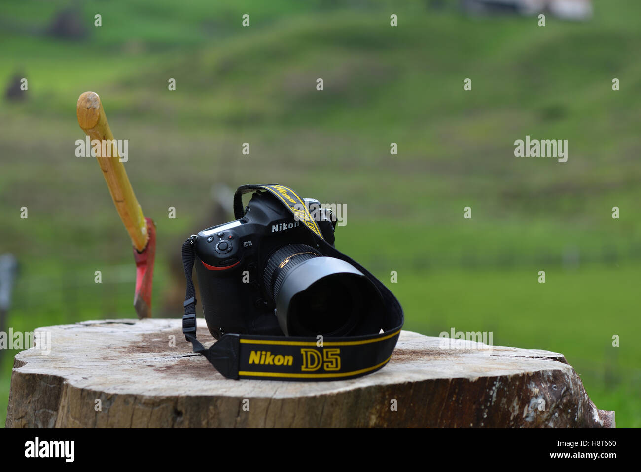 Nikon d5 hi-res stock photography and images - Alamy