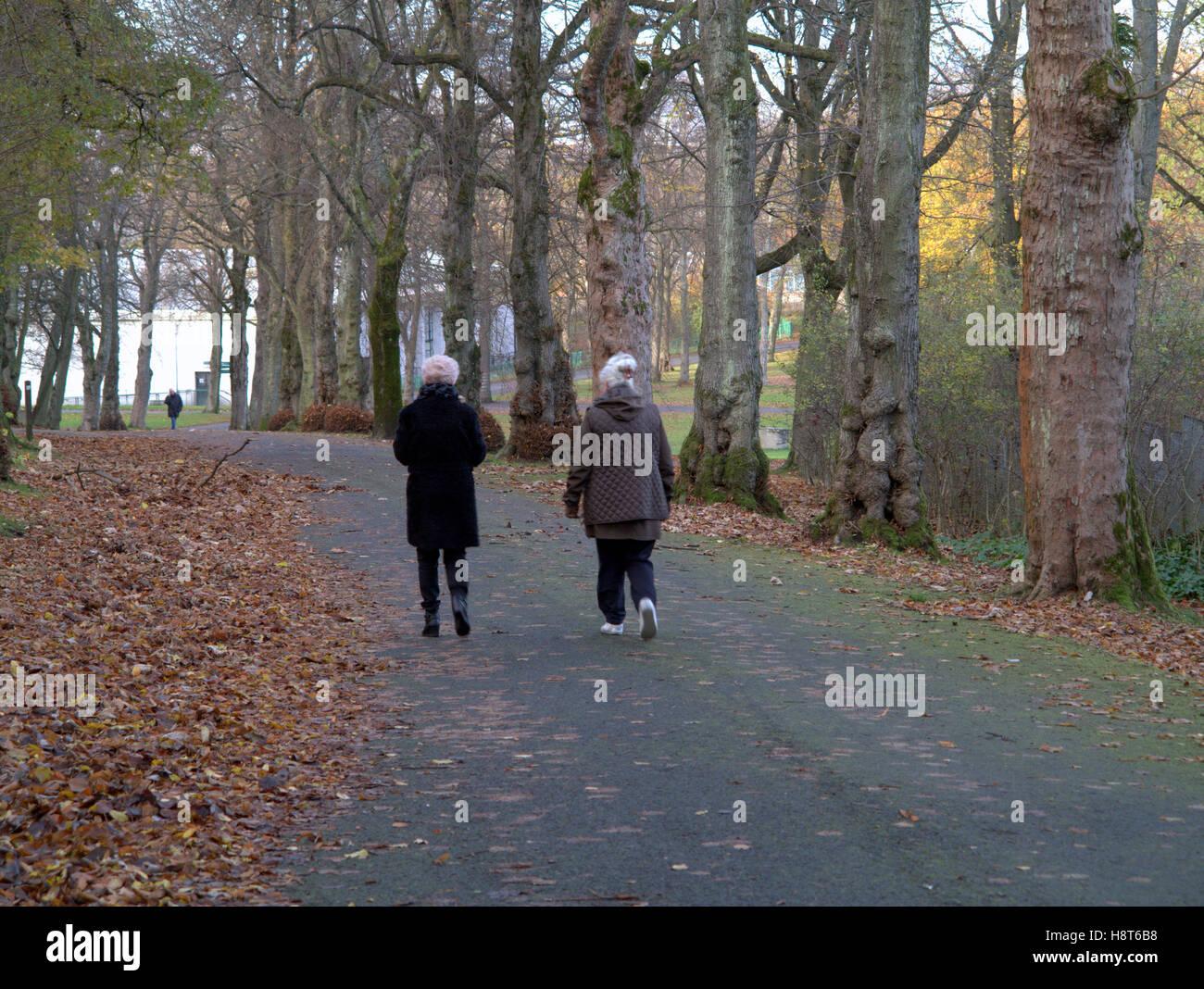 people walking bellahouston park glasgow Stock Photo