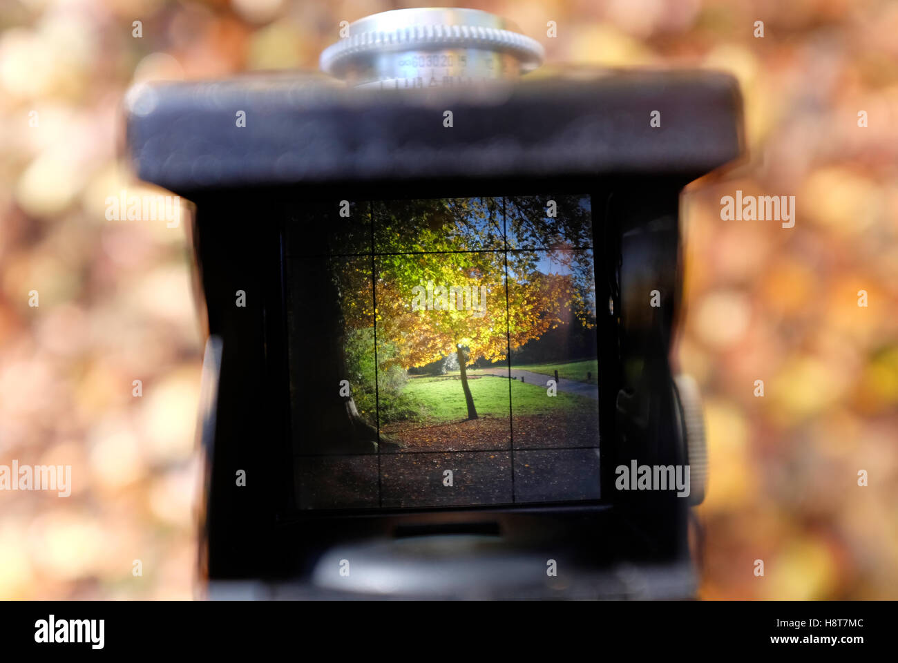 Viewfinder High Resolution Stock Photography and Images Alamy