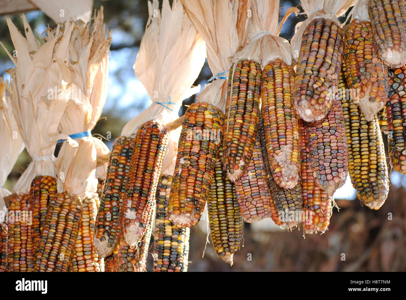 Multi rope hi-res stock photography and images - Alamy