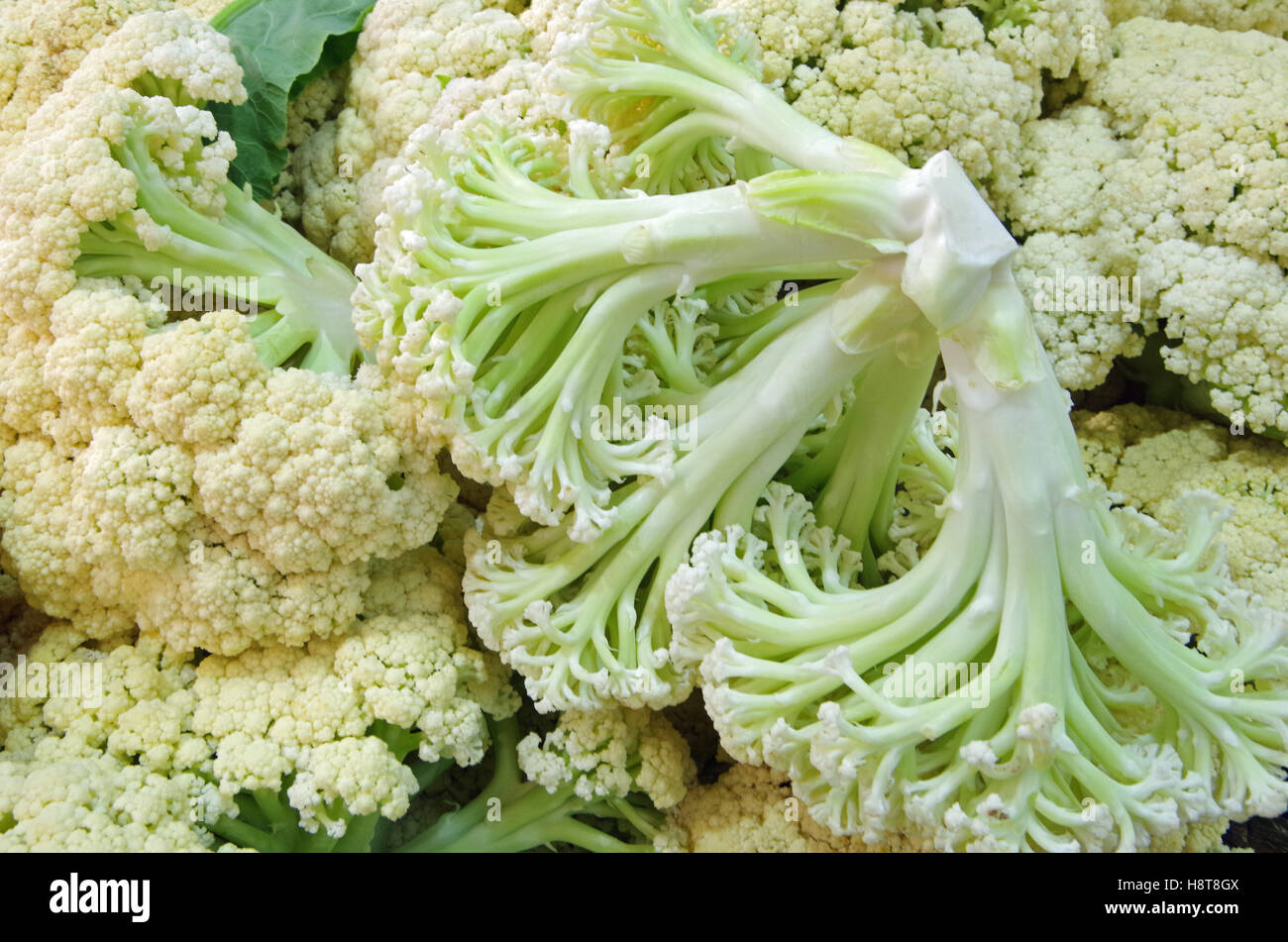 Cauliflower heads piled with stems and leaves Stock Photo Alamy