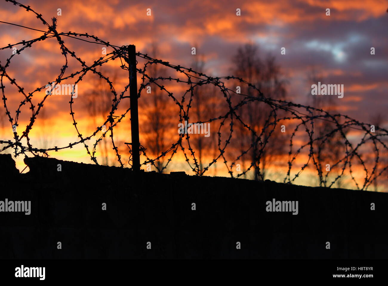 barbed wire on the fence on the background of sunset Stock Photo - Alamy