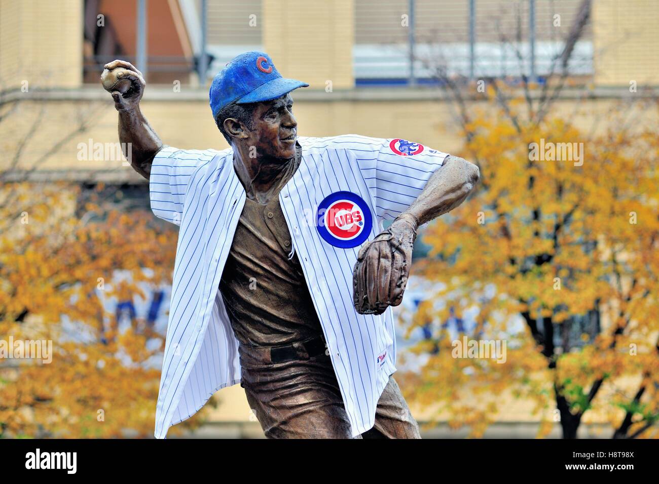 Ron santo cheap jersey
