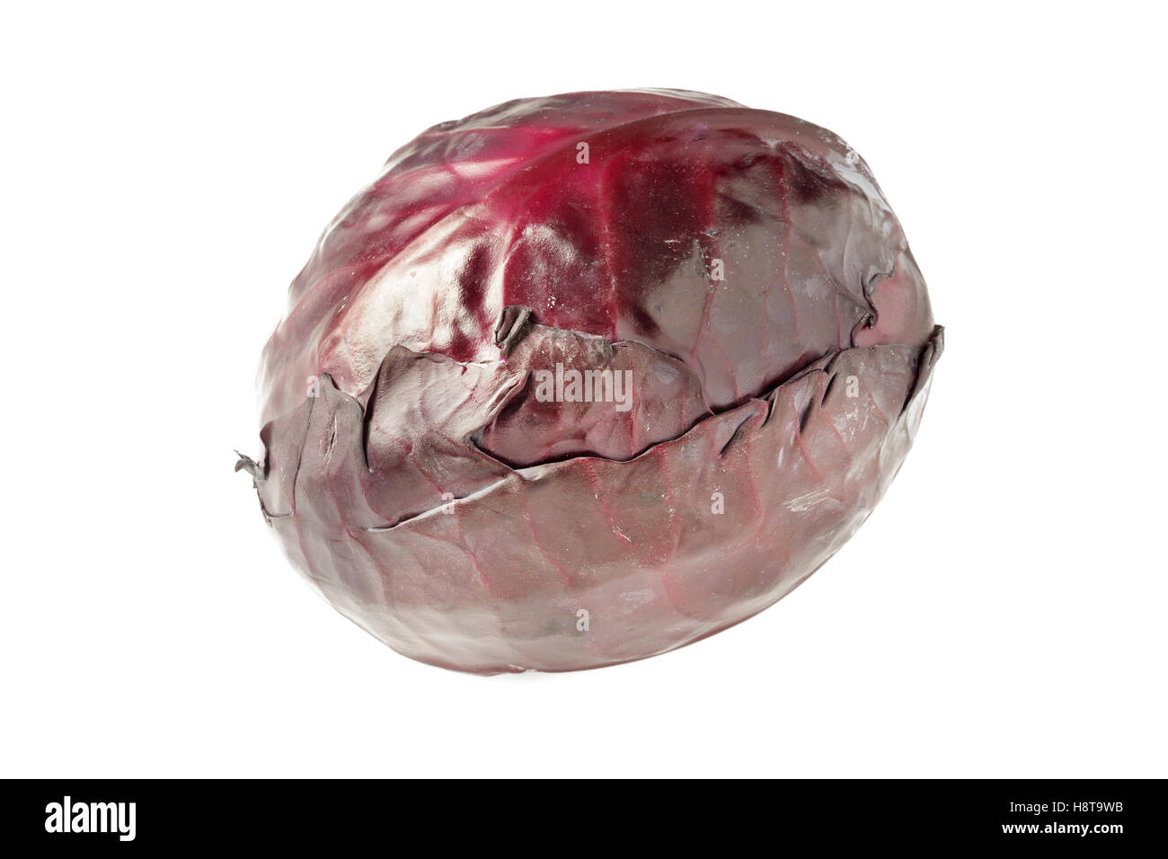 Red Cabbage whole Stock Photo