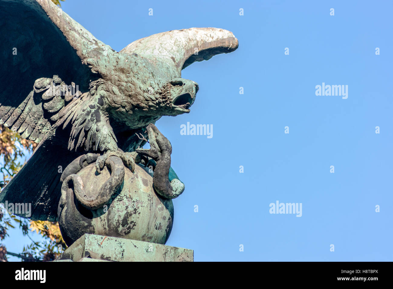 Eagle eating snake hires stock photography and images Alamy