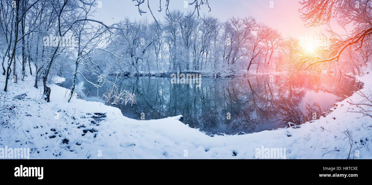 Winter forest on the river at sunset. Panoramic landscape with snowy ...