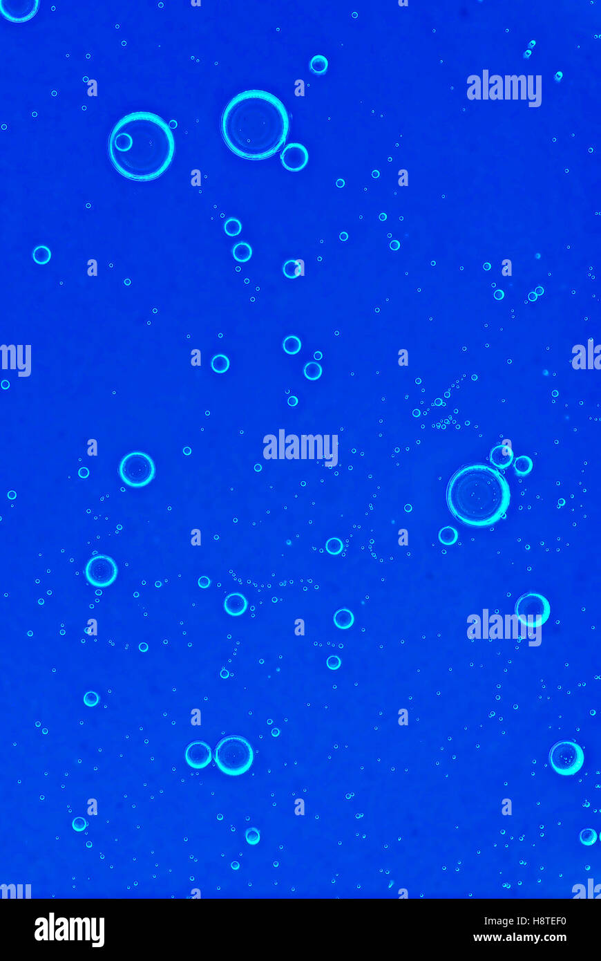 bubbles in sparkling waters Stock Photo Alamy