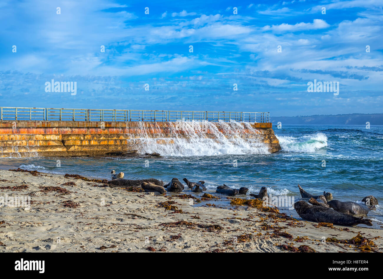 Children's Pool, La Jolla, California, United States Stock Photo Alamy