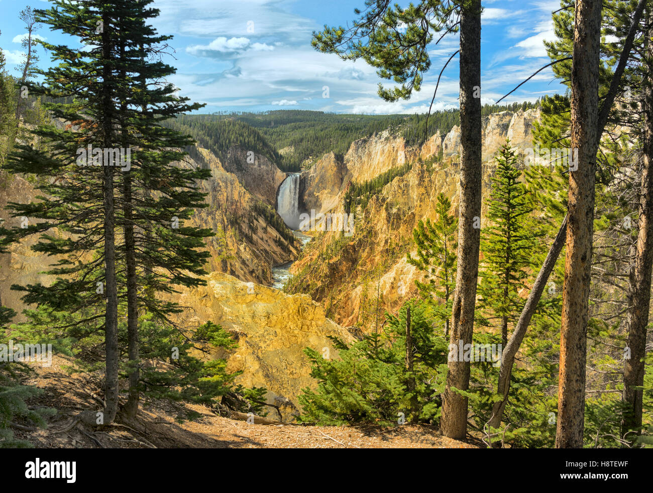 Yellowstone Canyon and lower falls, Wyoming, USA Stock Photo
