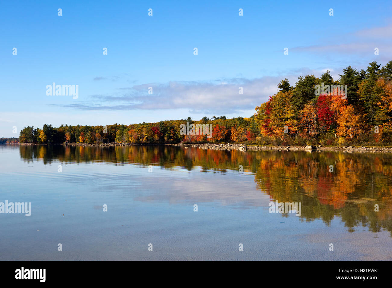 Autumn fall trees reflect colors on Lake Sabago, Maine, USA. Stock Photo