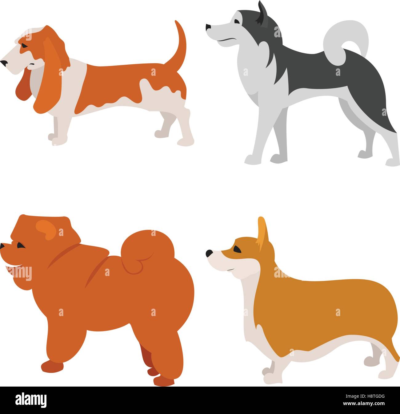 Set of dogs alaskan malamute and basset. Animal pretty and young pet, vector illustration Stock Vector