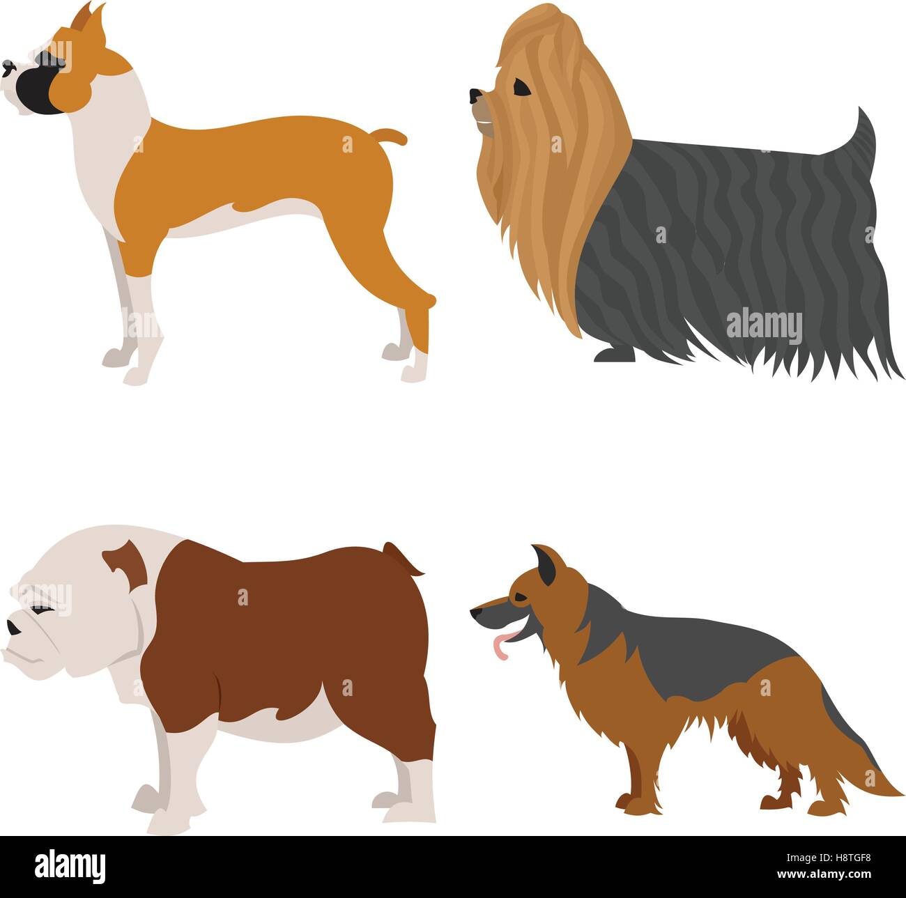 Dogs flat set, boxer and german shepherd, doggy and hound, vector illustration Stock Vector