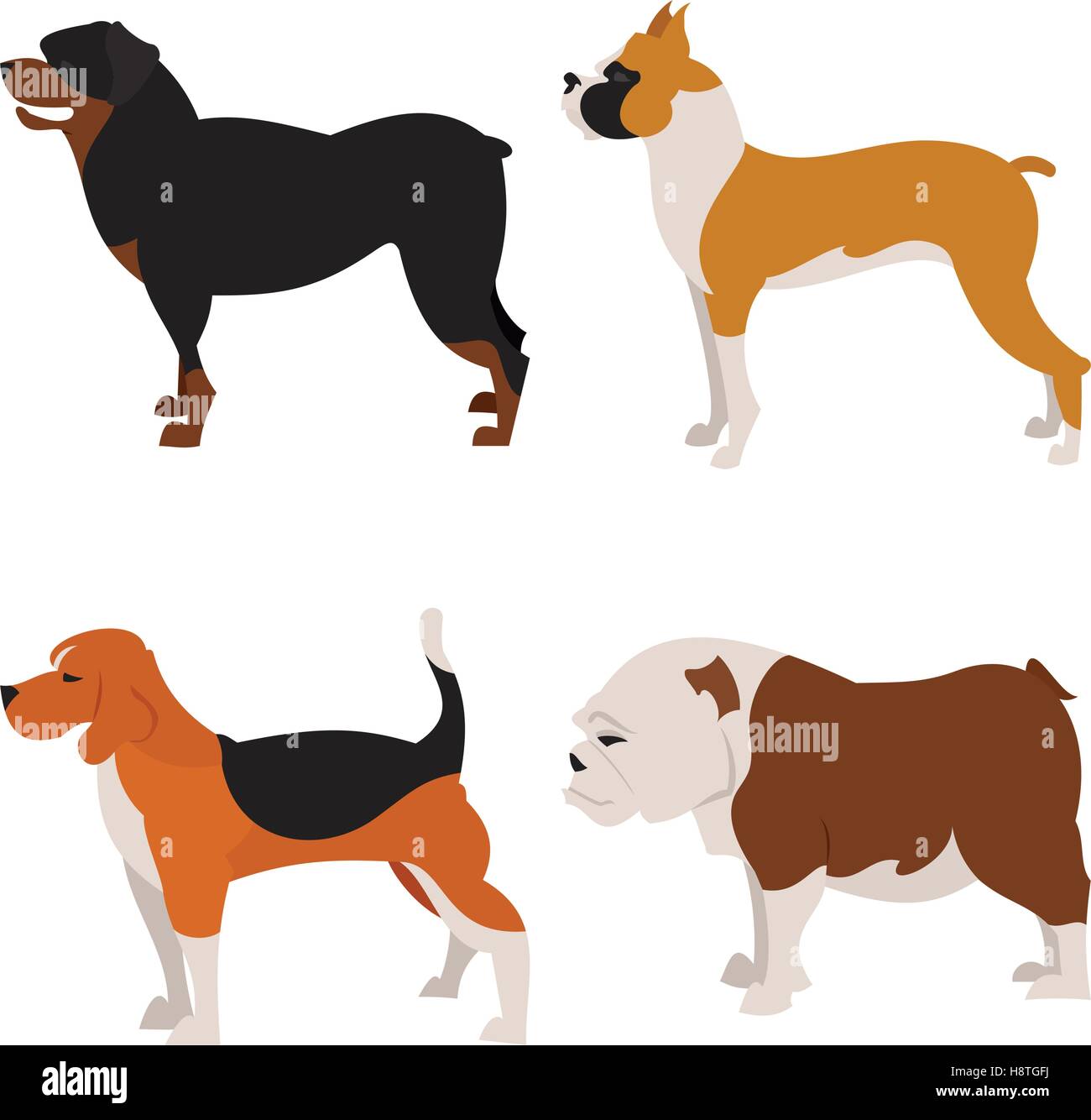 Dogs flat set. Friendly creature hound, bulldog and rottweiler, vector illustration Stock Vector