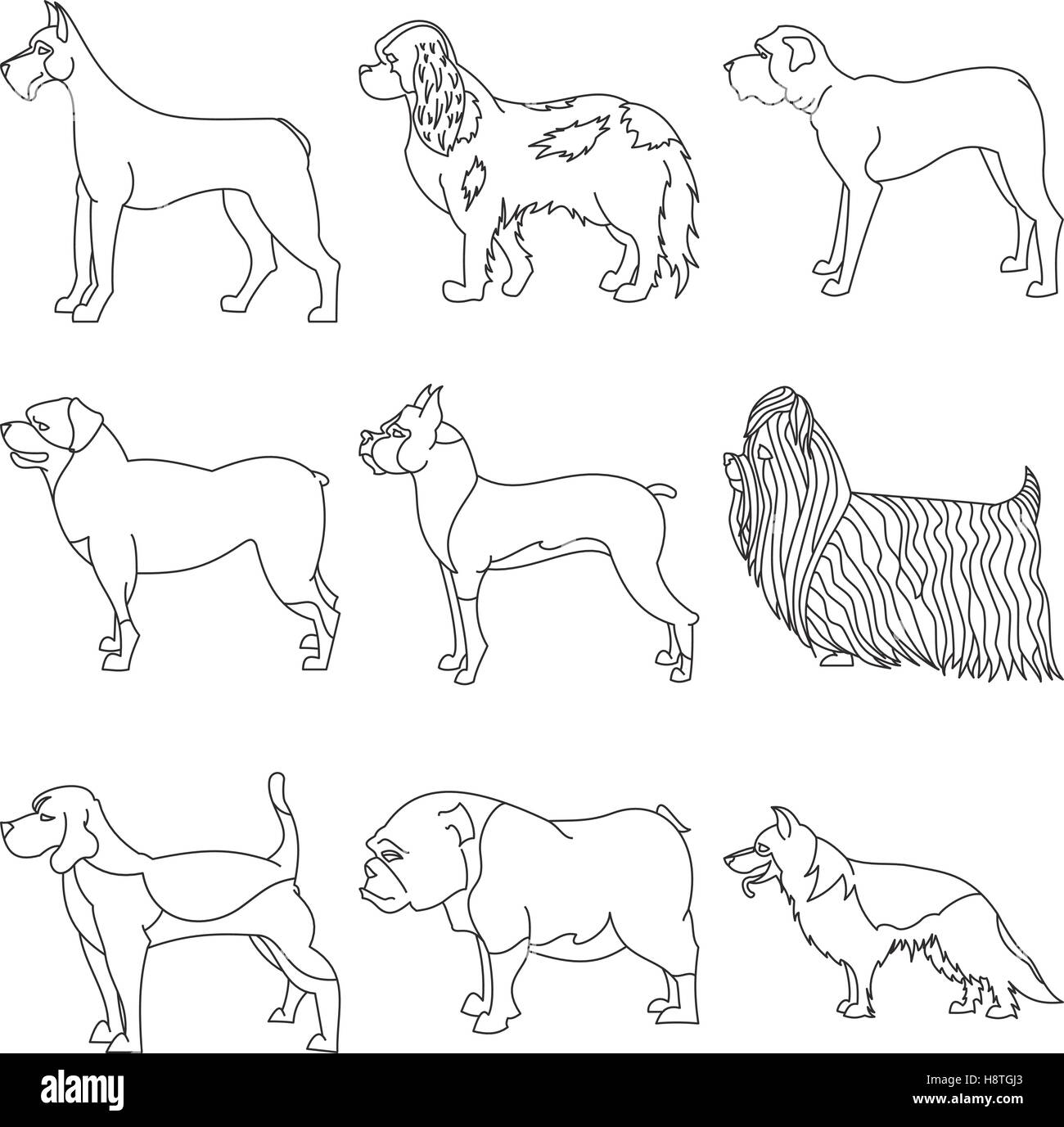 Set of purebred dogs in linear style. Beagle and boxer, bulldog and great dane, vector illustration Stock Vector