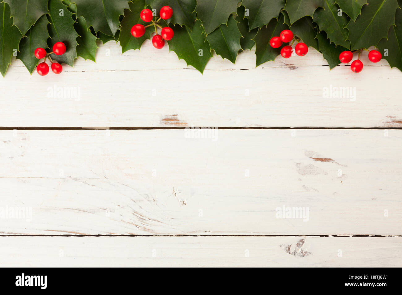 Christmas background with holly leaves and berries border on white ...