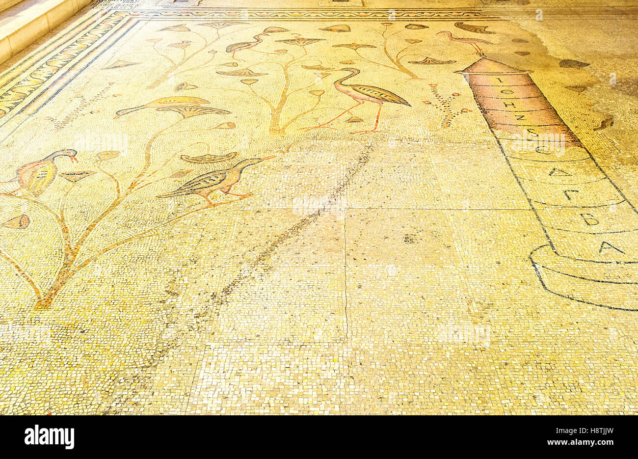 The mosaic floor of the Multiplication Church, with the Nilometer and wetland birds and plants Stock Photo