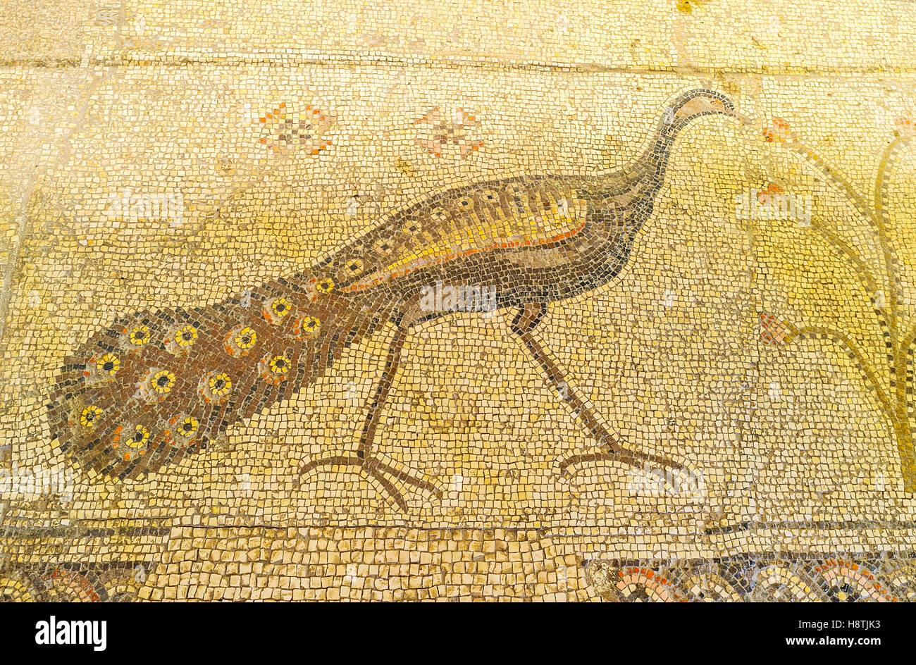 The male peacock with the beautiful tail in restored mosaic picture on
