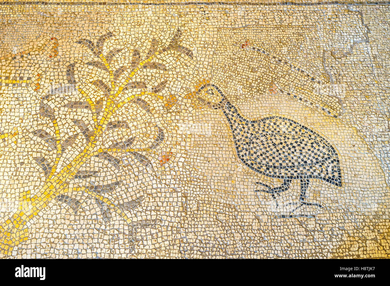 The mosaic on the floor of Multiplication Church with the guineafowl next to the bush Stock Photo