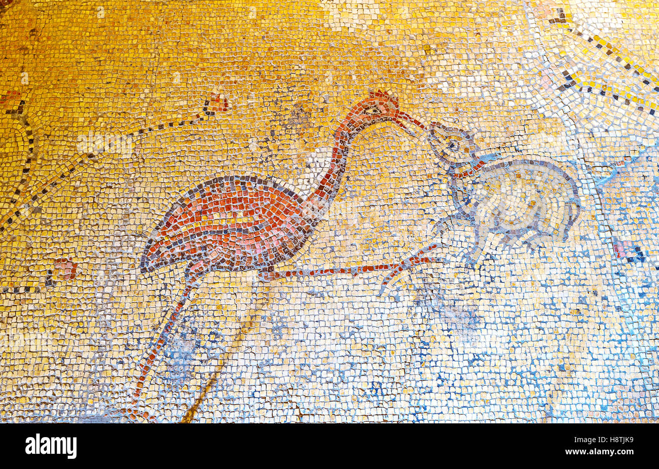The mosaic on the floor of Multiplication Church with the bird and dog Stock Photo