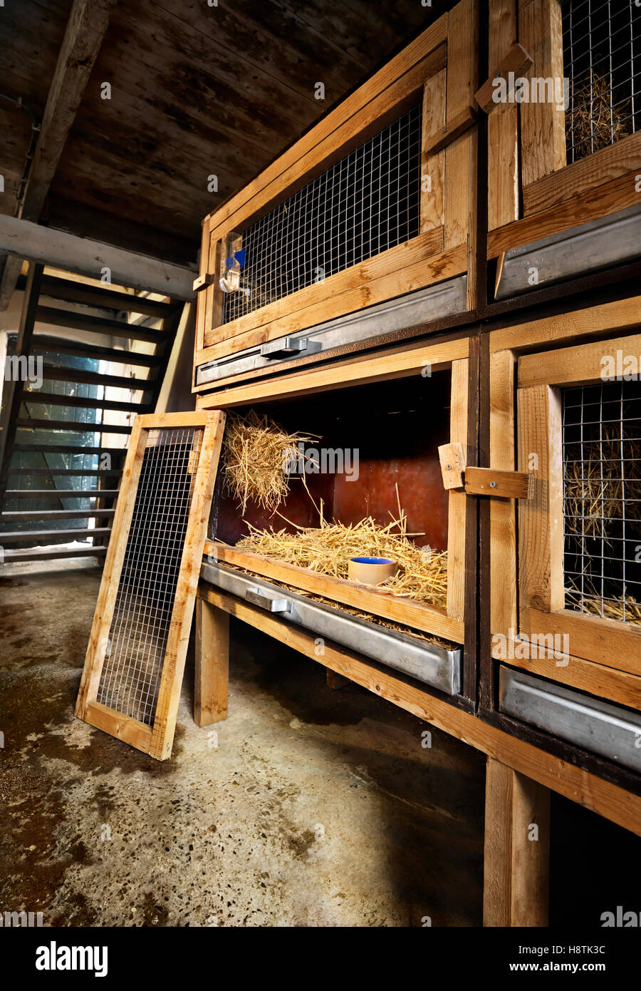 Several Rabbit cages on the farm Stock Photo Alamy