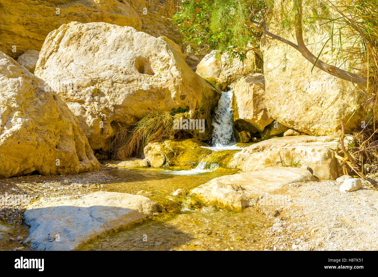 The mountain river with the tiny falls in Ein Gedi oasis, Judean desert, Israel. Stock Photo