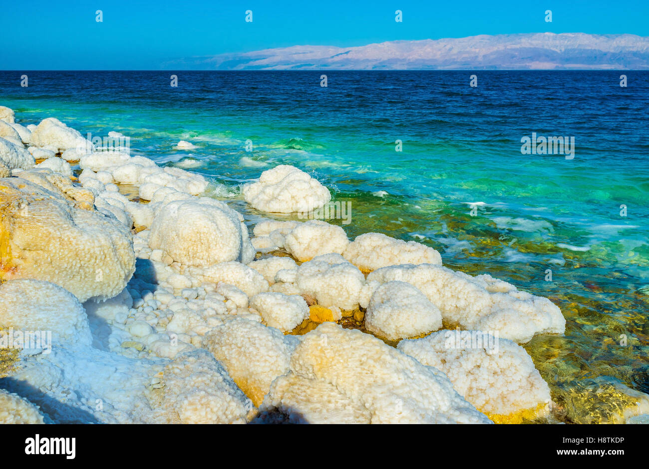The harsh environment of the Dead Sea due to its salinity, making it completely uninhabited, Ein Gedi, Israel. Stock Photo