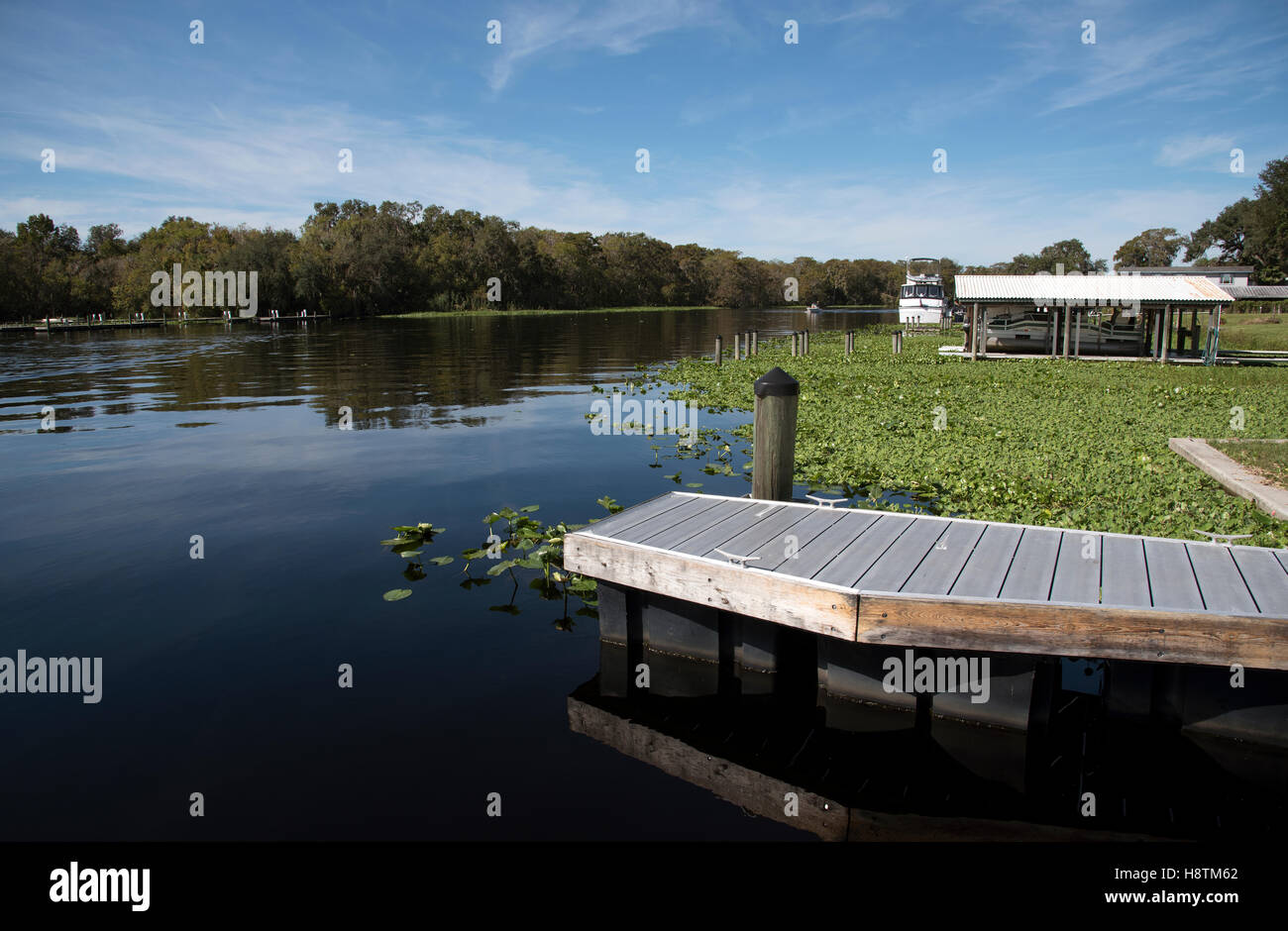 St Johns River in Volusia County Florida USA A metal landing stage on