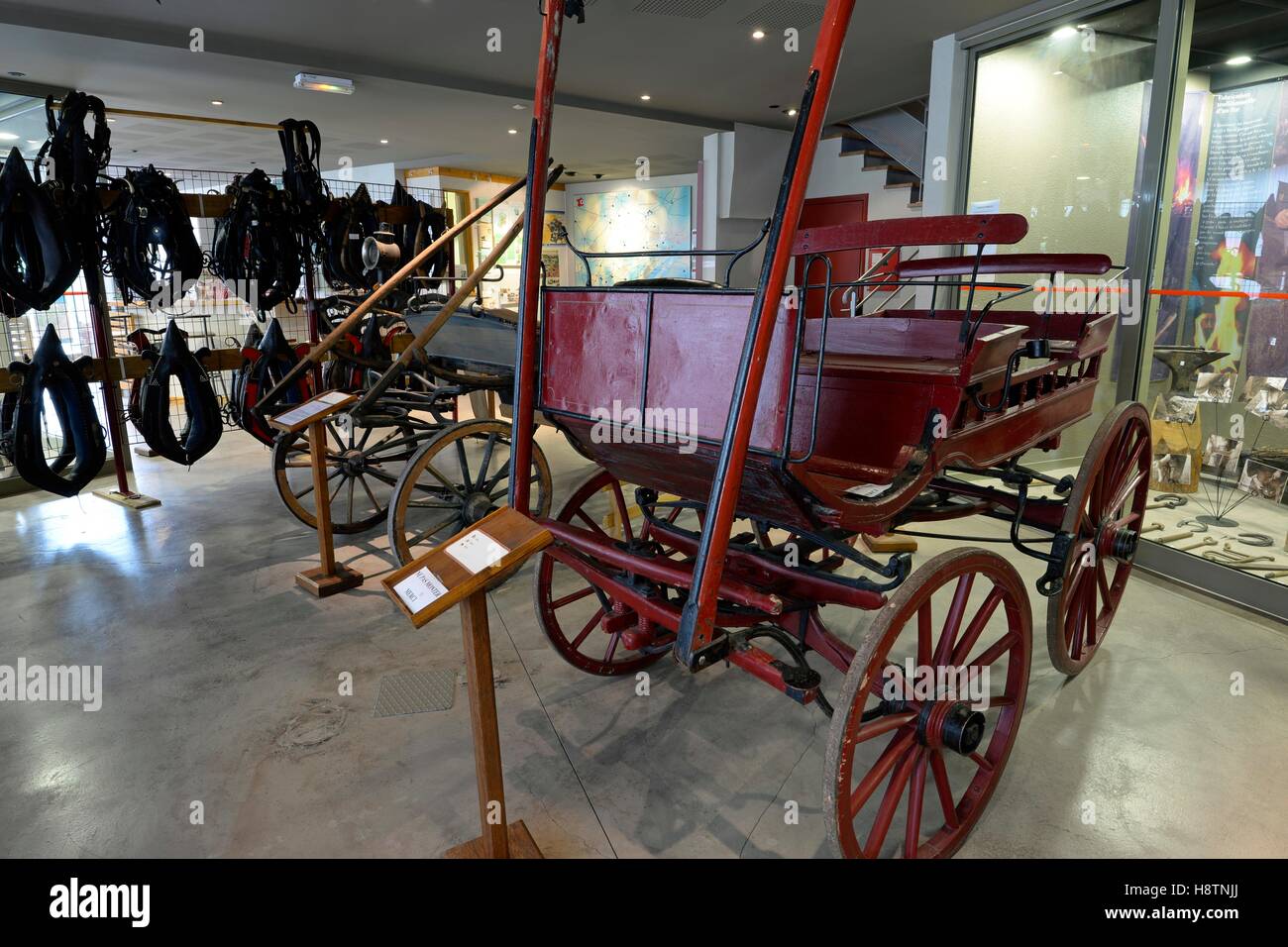 Carts and carriages, Relais Museum of horse Comte and forest, Levier