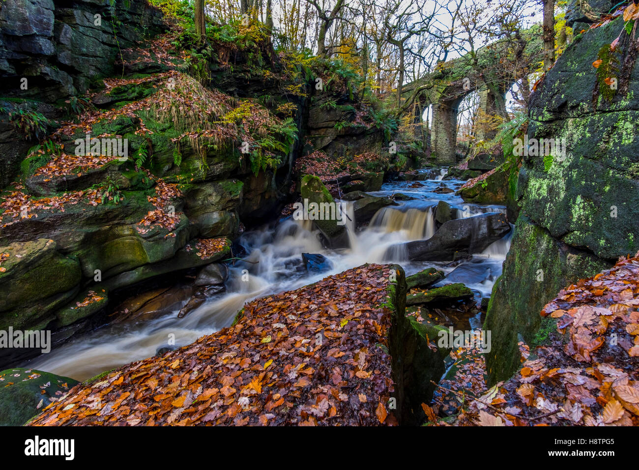 A small waterfall running between a rocky riverbank with autumnal colours in the trees Stock Photo