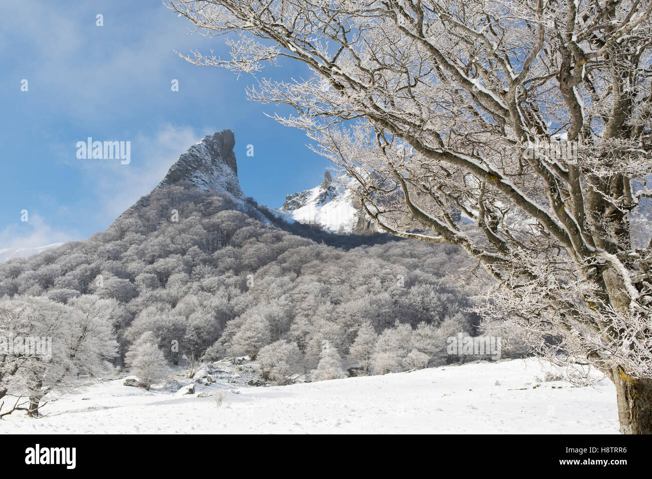 The Crete De Coq And The Dent De La Rancune In The Snow Nature Reserve Chaudefour Valley Pnr Volcans D Auvergne Auvergne Stock Photo Alamy